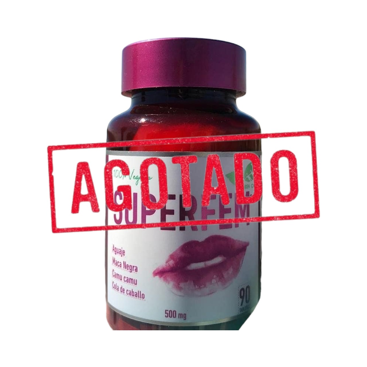 transparent-Photoroom - 2026-01-26T003708