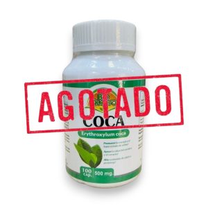 COCA 500 MG x 100 CAPS - BIO AURORA