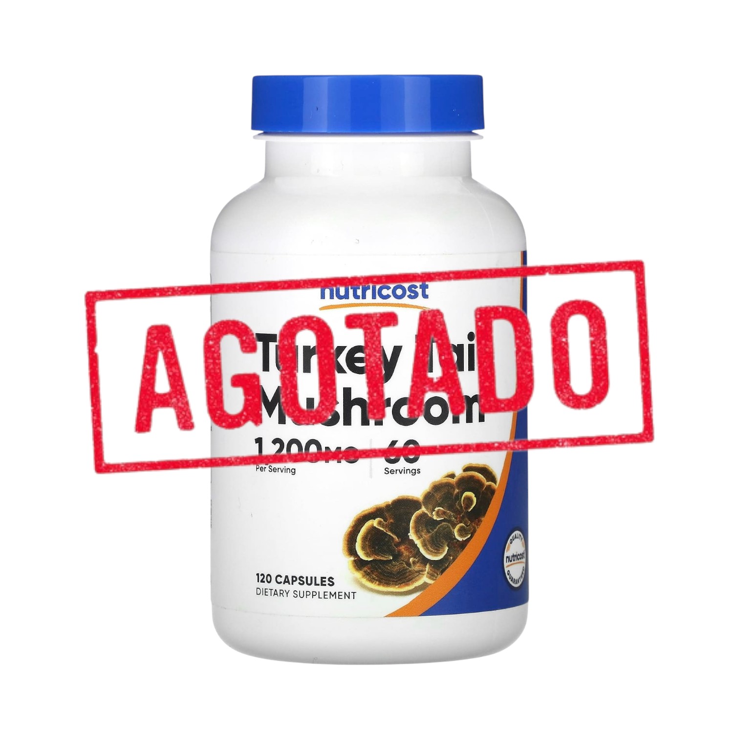 transparent-Photoroom (59)