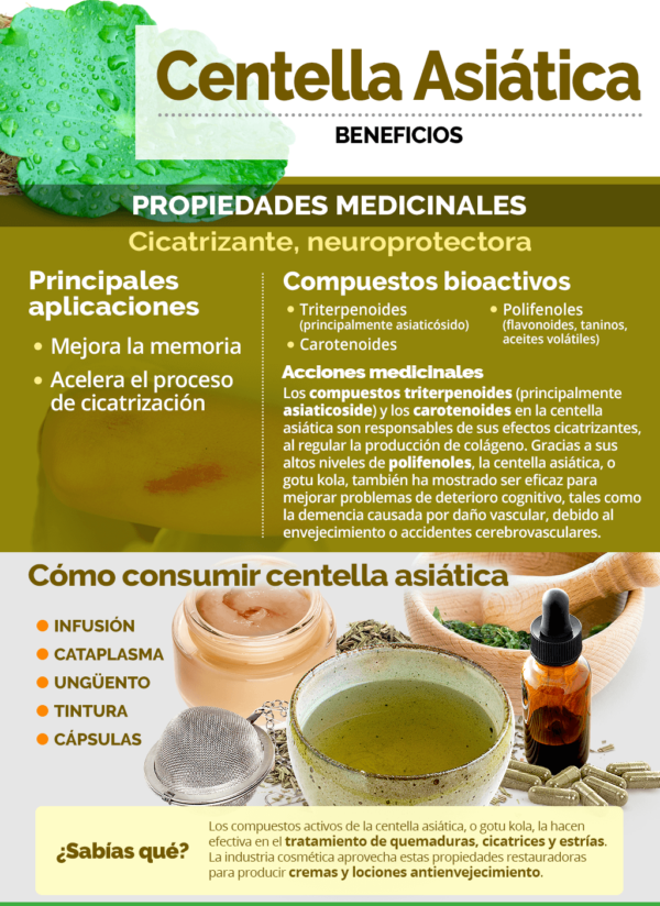 CENTELLA ASIATICA (GOTU KOLA) 450 MG X 90 CAPS - ORAGEL - Imagen 2