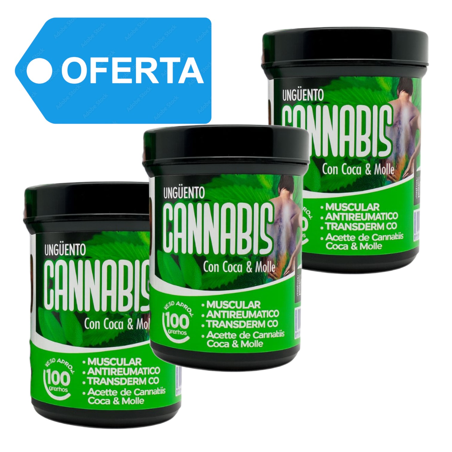 transparent-Photoroom - 2026-02-19T002611