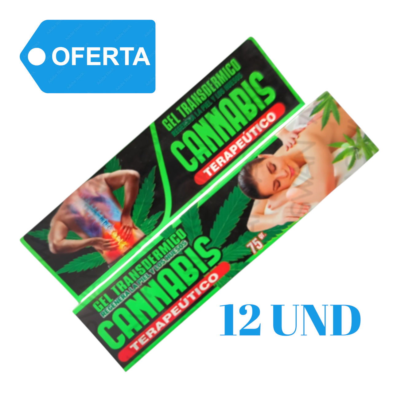 transparent-Photoroom-2026-02-15 (2)